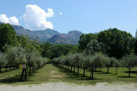 Agricampeggio Pugliese