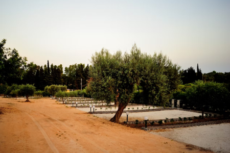 Agricampeggio Terra Del Sole