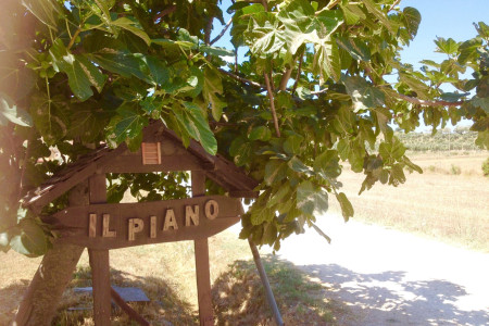 Agricamping Il Piano