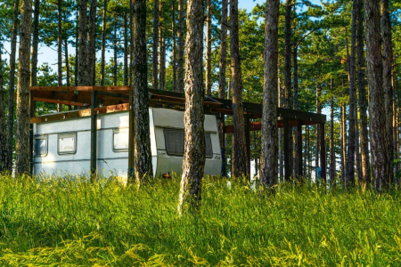 Agricamping La Pineta