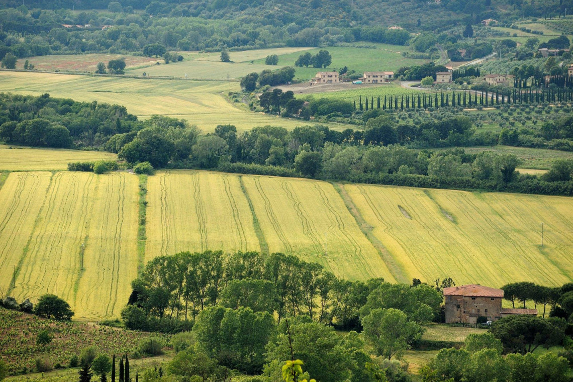 Agriturismo Fattoria La Prugnola