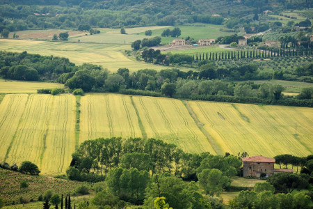 Agriturismo Fattoria La Prugnola