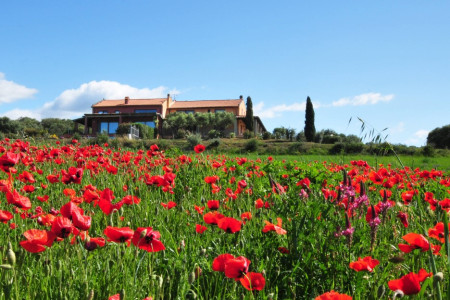 Agriturismo L'Oliveta