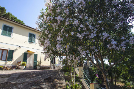 Agriturismo La Lecciola
