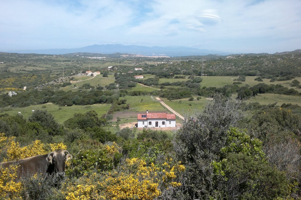 Agriturismo Petra Di Cossu