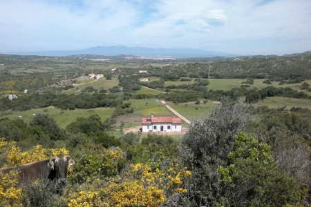 Agriturismo Petra Di Cossu