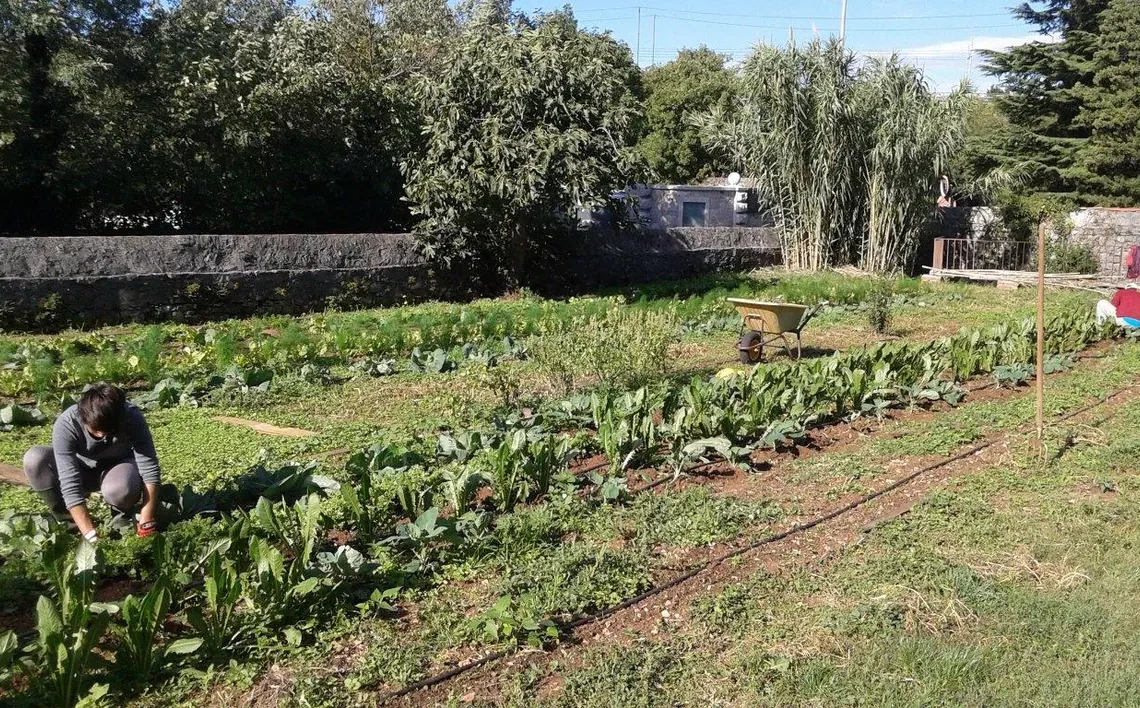 Azienda Agricola Carso