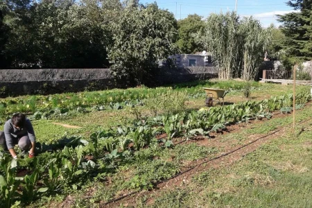 Azienda Agricola Carso
