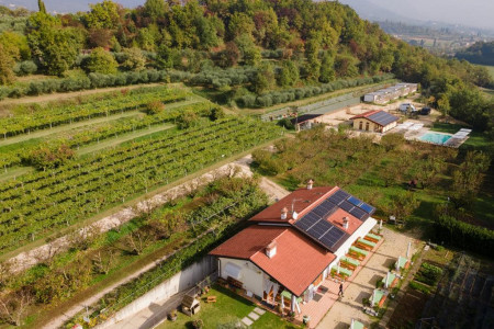 Azienda Agricola Garda Natura
