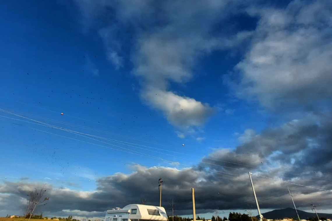 Azienda Agricola La Biososta