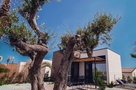 Azienda Andaloro