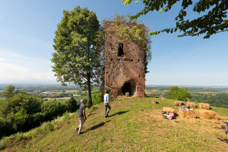 Parco Del Grep