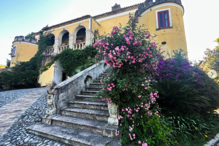 Serragiumenta