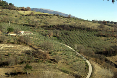 Welcome Home Assisi Agricamping