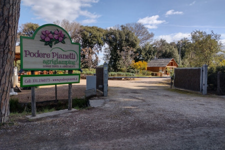Podere Pianetti